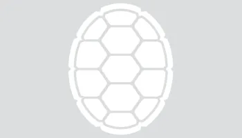 JWST General Observer Programs in Cycle 3 Selected